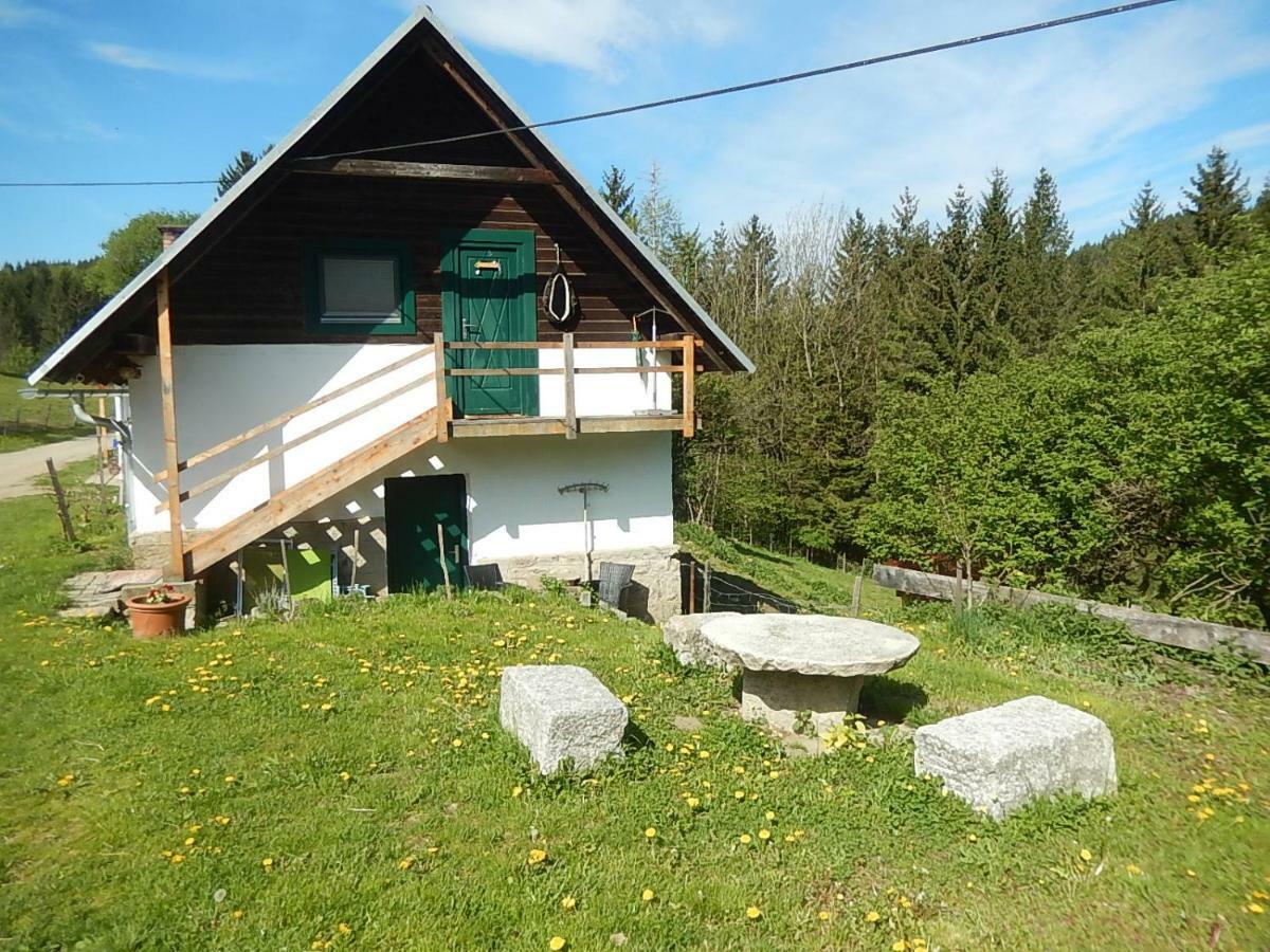 Ferienhaus Am Reitbauernhof Luckyranch Mellach  Dış mekan fotoğraf